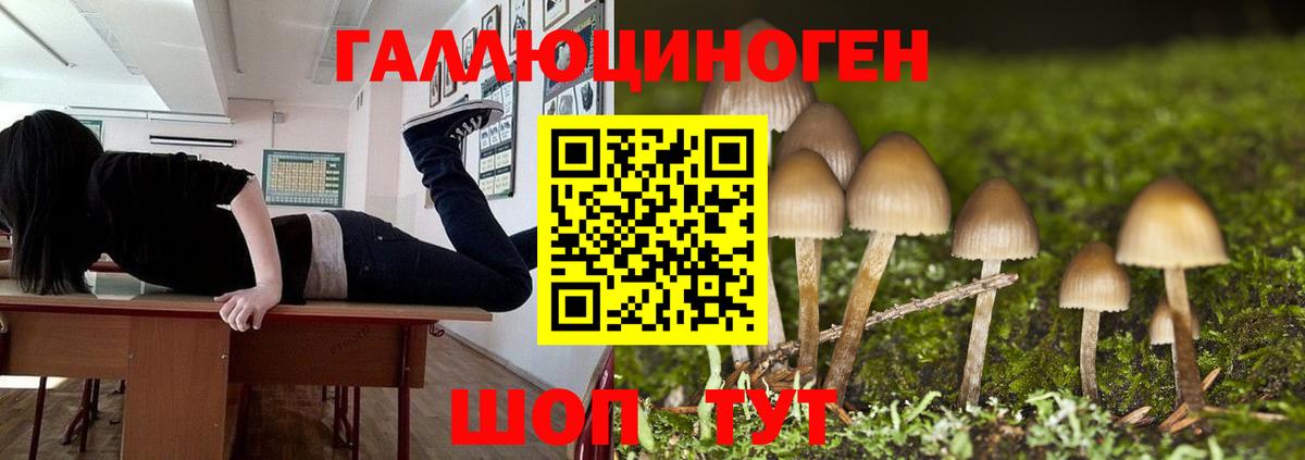 Меф МЯУ МЯУ   ГАШИШ  Елец  А ПВП СОЛЬ кристаллы  Кокаин  ГАШИШ  МАРИХУАНА  Меф МЯУ МЯУ  Вход с VPN 