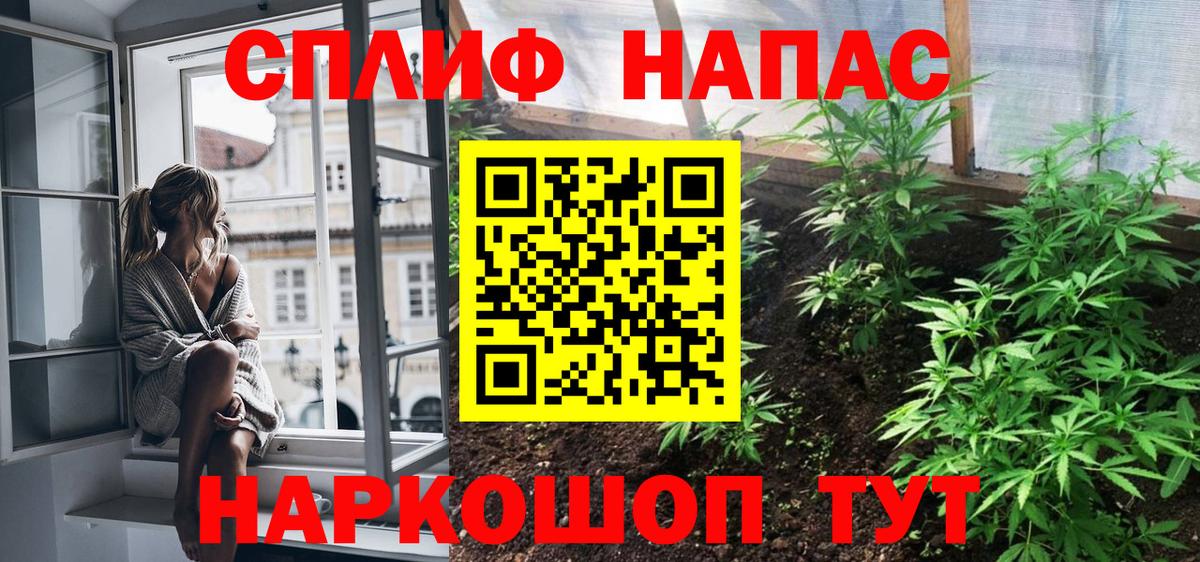 Каннабис гибрид Елец